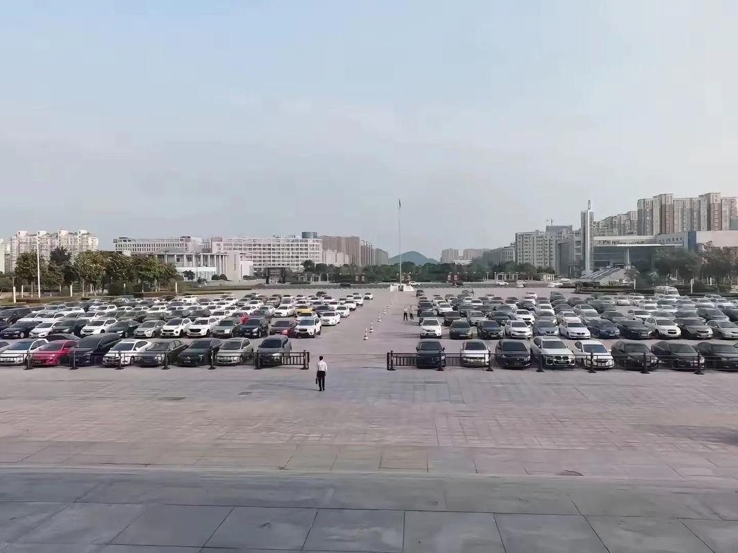 市政府翻译服务 助力商务沟通与跨域合作